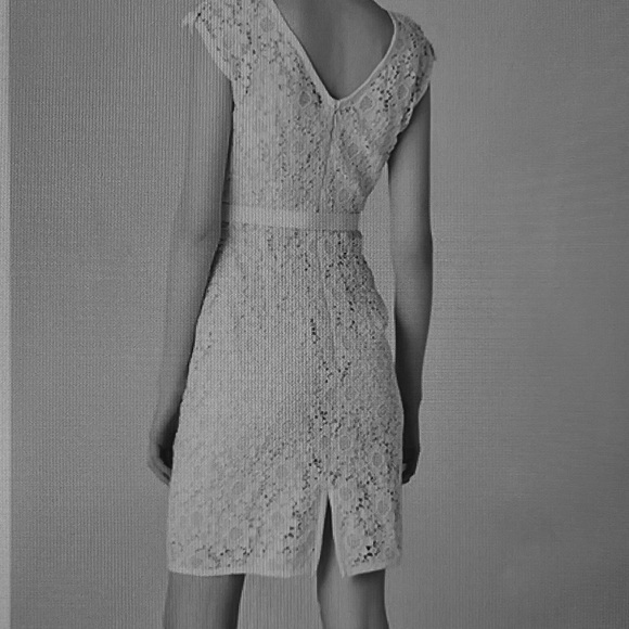 Lace dress - Picture 7 of 8